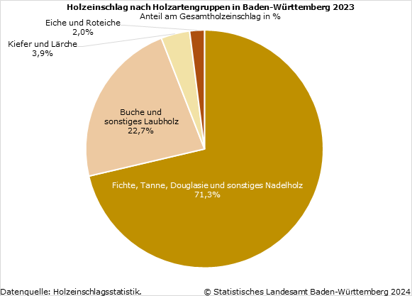 Schaubild 1: Holzeinschlag nach Holzartengruppen in Baden-Württemberg 2023